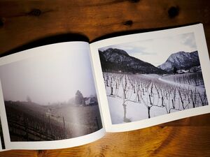Ein Rebgebiet im Winter mit Schnee und Nebel