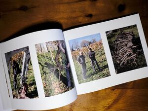 Weinbauern in den Rebstöcken mit Rebstockholz