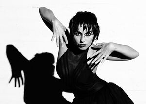 Projekt Black Swan White Swan by Fotografie Schluchter, Malans